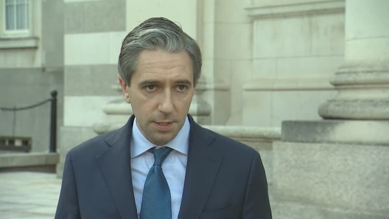 Harris 'pretty annoyed' over O'Leary comments on teachers